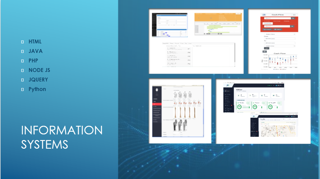 Information Systems